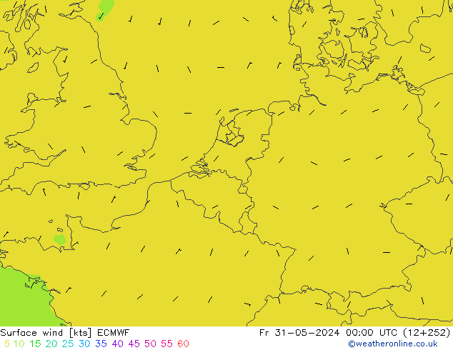 Bodenwind ECMWF Fr 31.05.2024 00 UTC