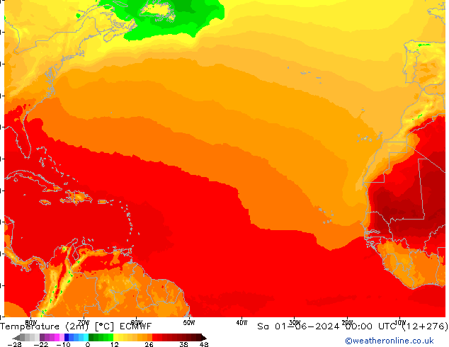 Temperature (2m) ECMWF Sa 01.06.2024 00 UTC