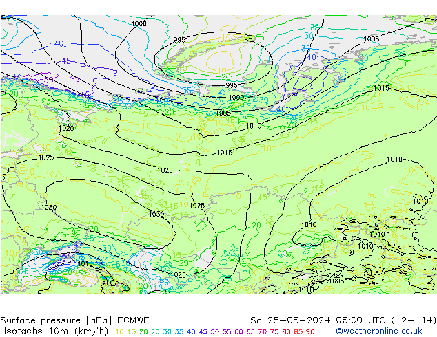 Izotacha (km/godz) ECMWF so. 25.05.2024 06 UTC