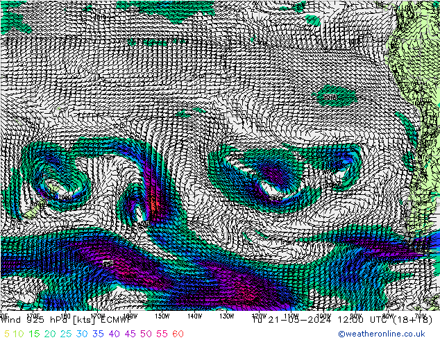Wind 925 hPa ECMWF di 21.05.2024 12 UTC