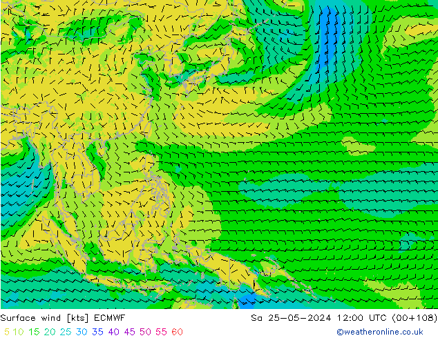 Surface wind ECMWF Sa 25.05.2024 12 UTC