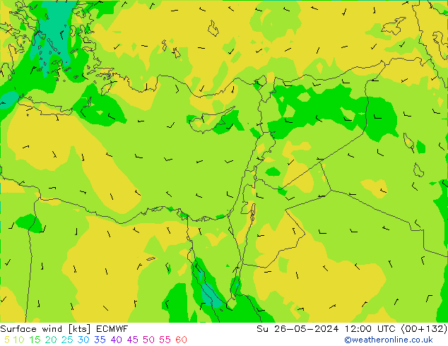 Surface wind ECMWF Su 26.05.2024 12 UTC