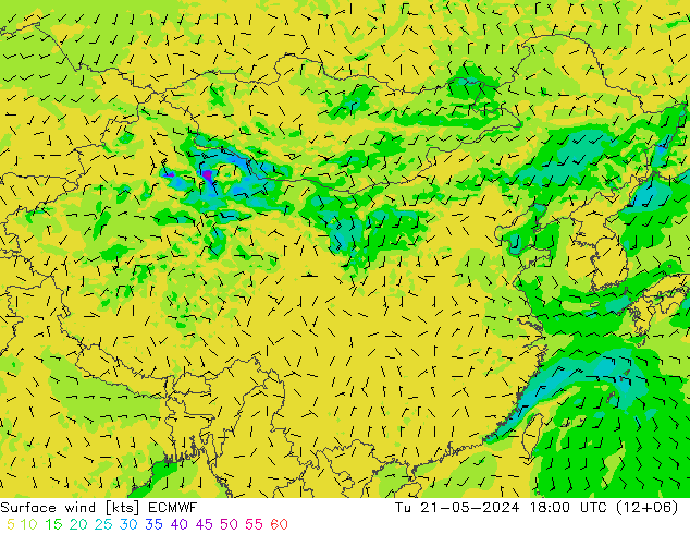 风 10 米 ECMWF 星期二 21.05.2024 18 UTC