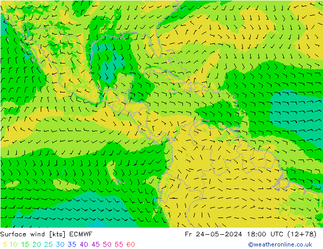 ветер 10 m ECMWF пт 24.05.2024 18 UTC