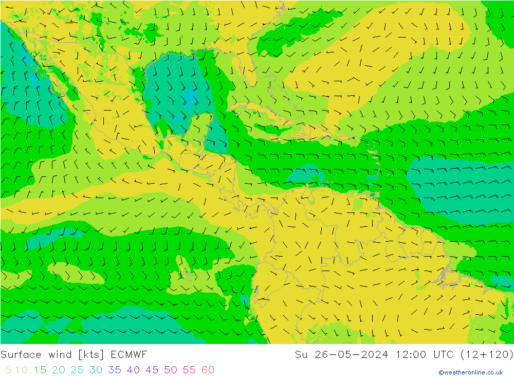 Wind 10 m ECMWF zo 26.05.2024 12 UTC