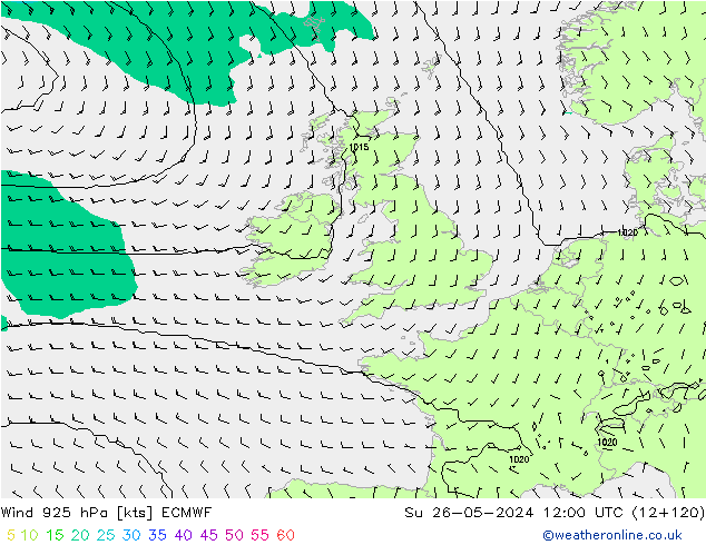 Wind 925 hPa ECMWF Ne 26.05.2024 12 UTC