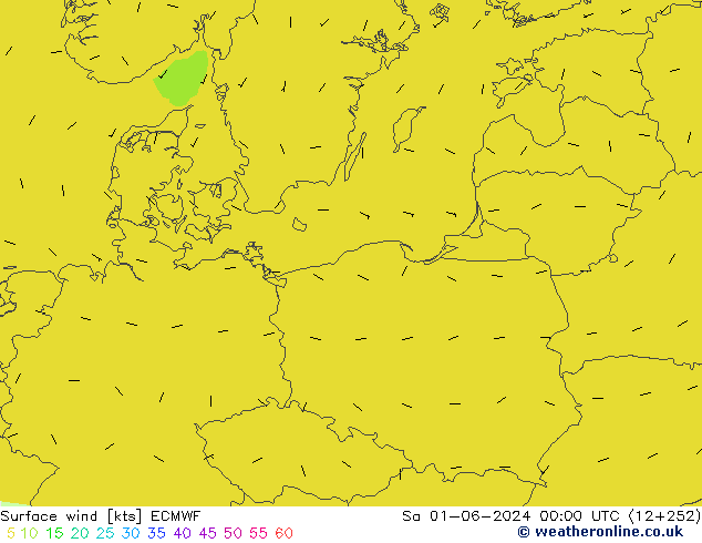 Surface wind ECMWF Sa 01.06.2024 00 UTC