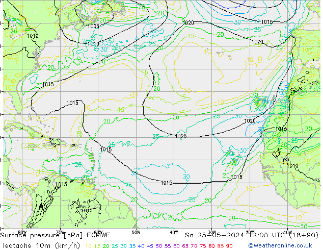 Isotachen (km/h) ECMWF Sa 25.05.2024 12 UTC