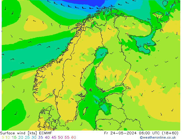 Bodenwind ECMWF Fr 24.05.2024 06 UTC