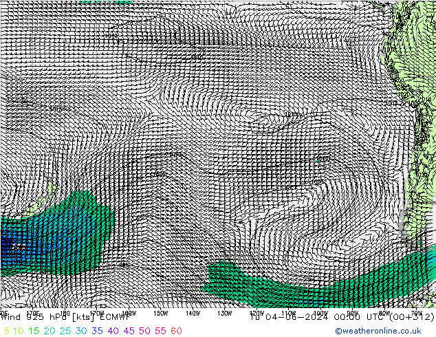 Rüzgar 925 hPa ECMWF Sa 04.06.2024 00 UTC