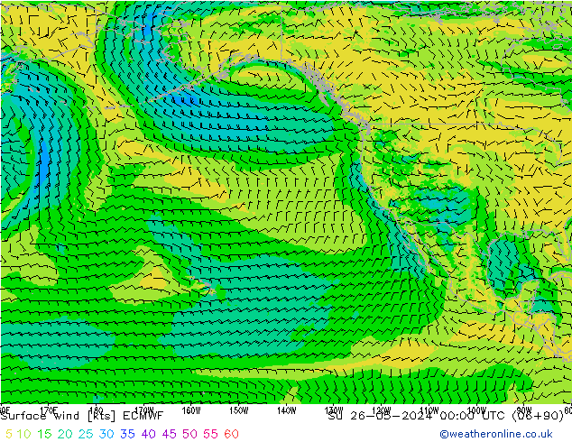 Vento 10 m ECMWF Dom 26.05.2024 00 UTC