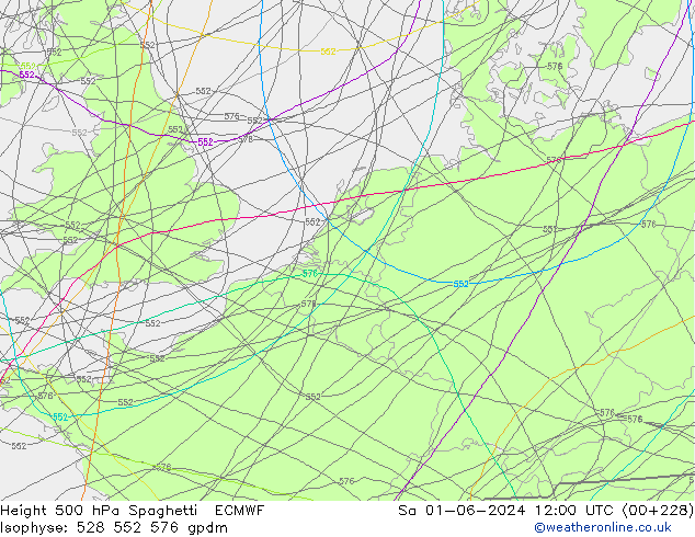 Height 500 hPa Spaghetti ECMWF Sa 01.06.2024 12 UTC