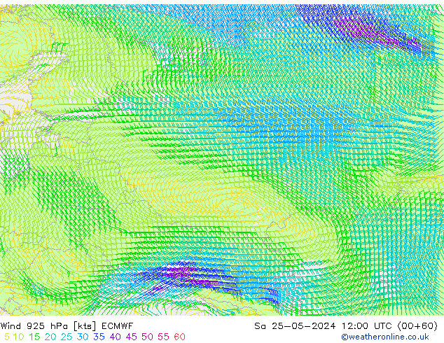 Wind 925 hPa ECMWF za 25.05.2024 12 UTC