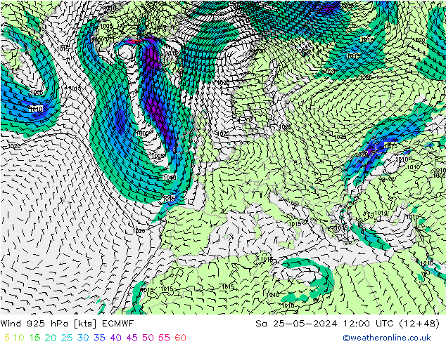  925 hPa ECMWF  25.05.2024 12 UTC