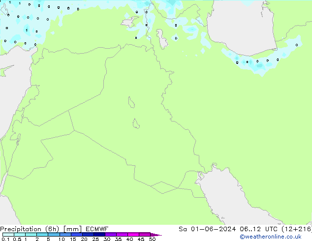 Yağış (6h) ECMWF Cts 01.06.2024 12 UTC