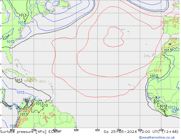      ECMWF  25.05.2024 12 UTC