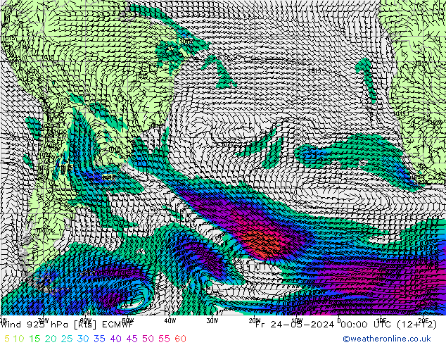 Vento 925 hPa ECMWF ven 24.05.2024 00 UTC