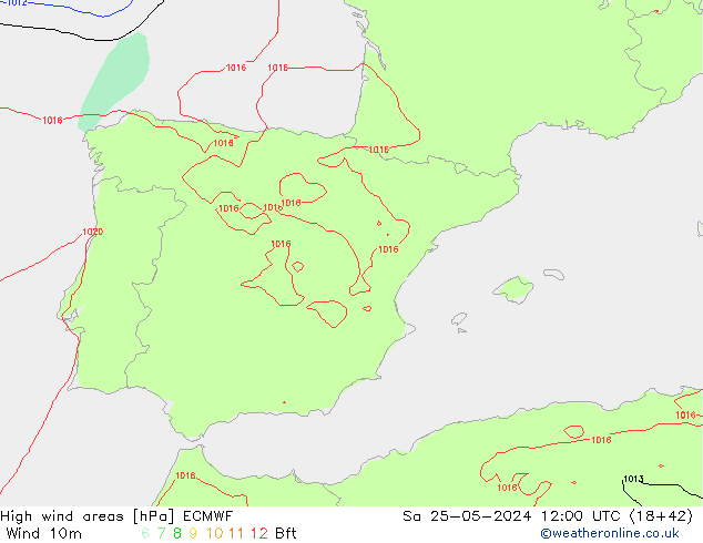 High wind areas ECMWF сб 25.05.2024 12 UTC