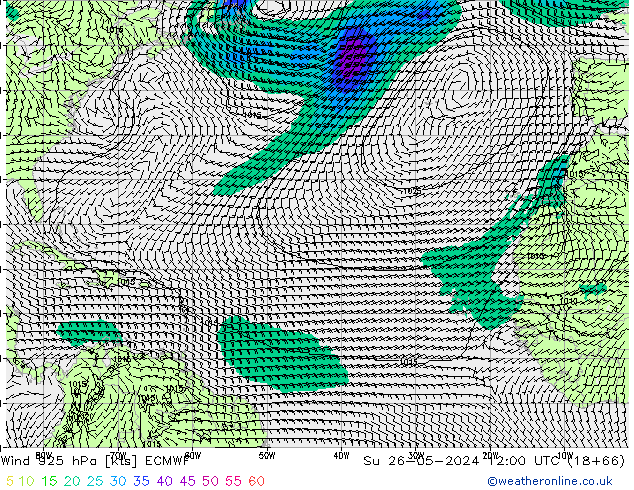 Vento 925 hPa ECMWF dom 26.05.2024 12 UTC