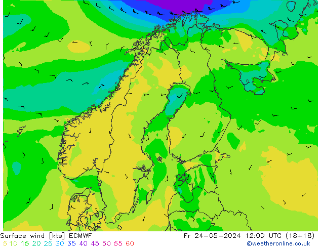 Vento 10 m ECMWF ven 24.05.2024 12 UTC