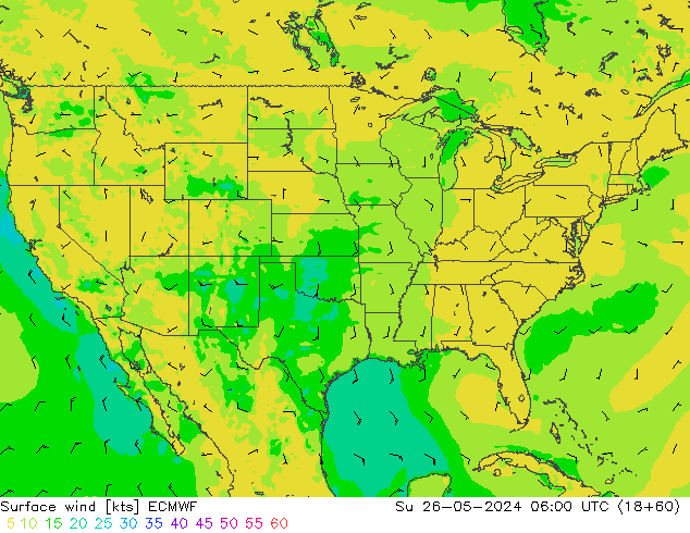 ветер 10 m ECMWF Вс 26.05.2024 06 UTC