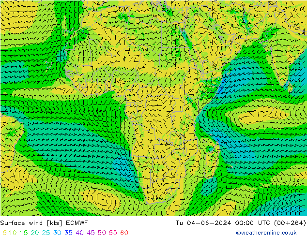 ветер 10 m ECMWF вт 04.06.2024 00 UTC