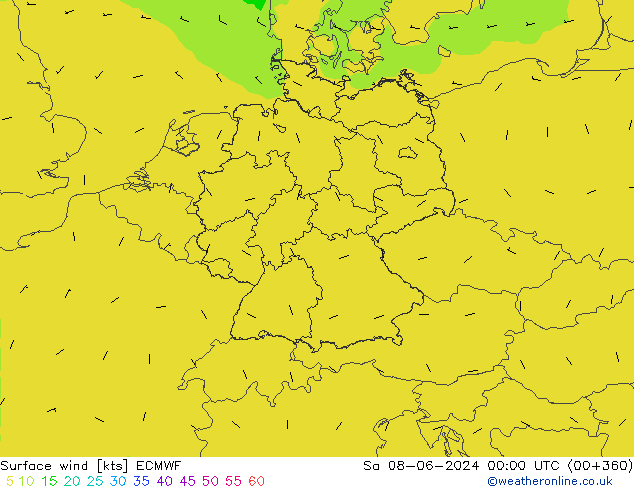 Bodenwind ECMWF Sa 08.06.2024 00 UTC