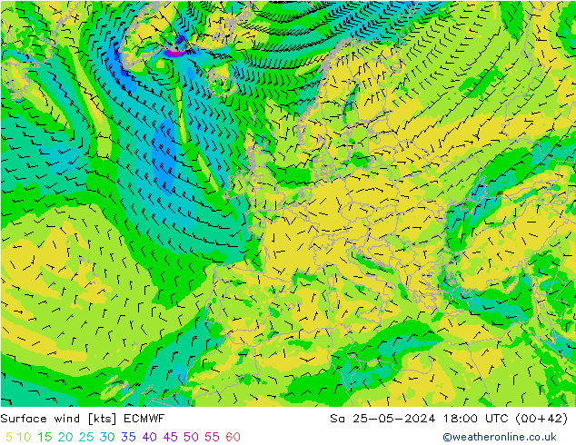  10 m ECMWF  25.05.2024 18 UTC