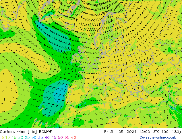 Bodenwind ECMWF Fr 31.05.2024 12 UTC