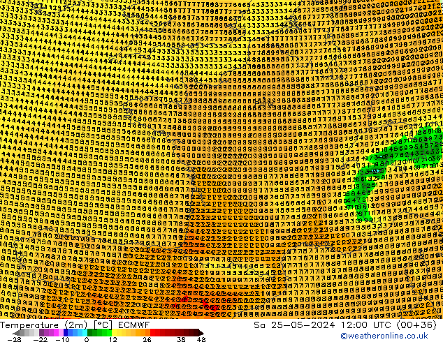 Temperature (2m) ECMWF So 25.05.2024 12 UTC