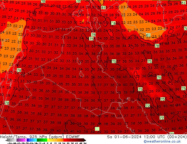 Géop./Temp. 925 hPa ECMWF sam 01.06.2024 12 UTC