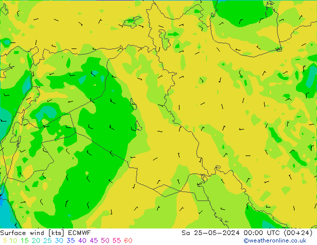 Wind 10 m ECMWF za 25.05.2024 00 UTC