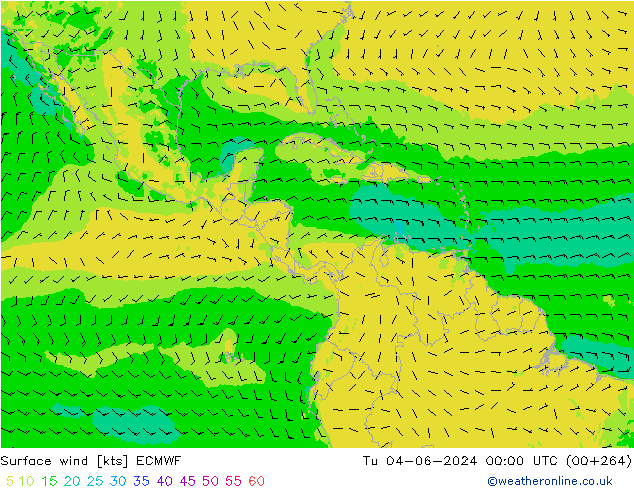 Vento 10 m ECMWF Ter 04.06.2024 00 UTC