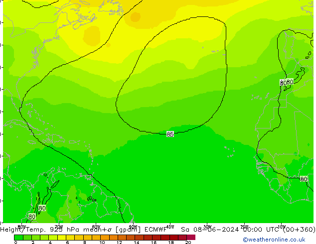 Height/Temp. 925 hPa ECMWF Sa 08.06.2024 00 UTC