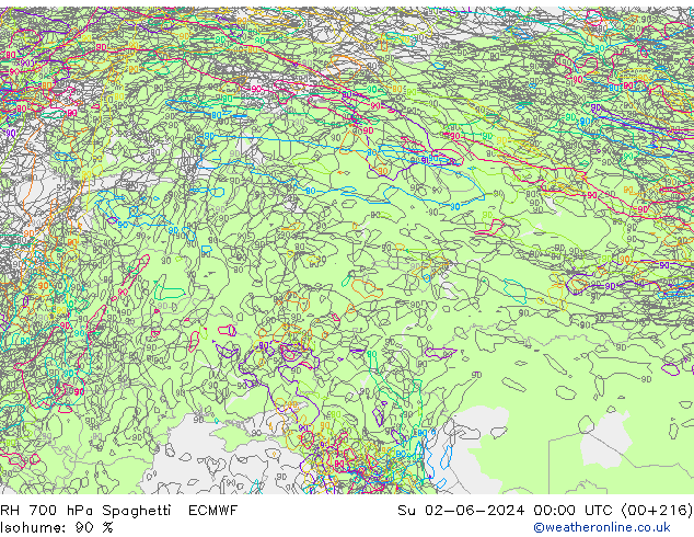 RV 700 hPa Spaghetti ECMWF zo 02.06.2024 00 UTC