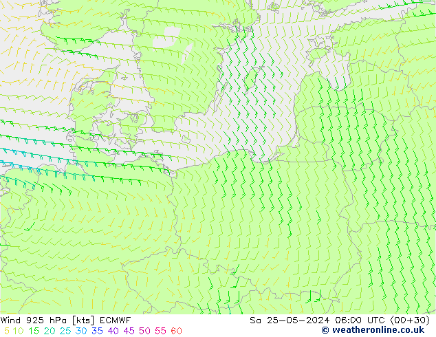   25.05.2024 06 UTC