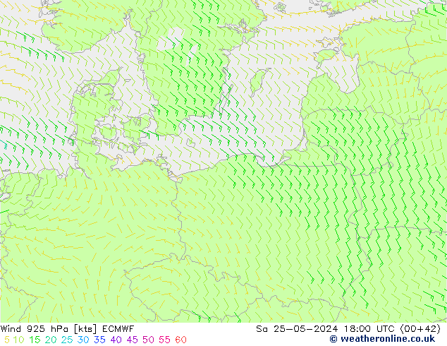   25.05.2024 18 UTC