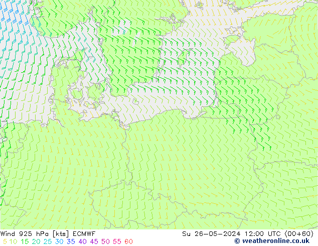   26.05.2024 12 UTC