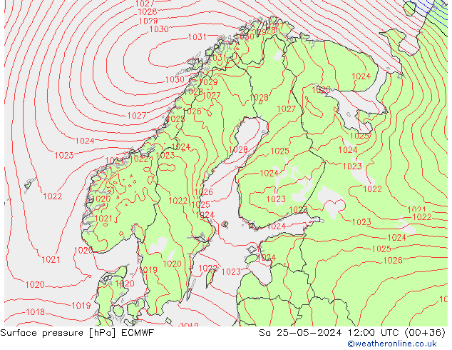 Pressione al suolo ECMWF sab 25.05.2024 12 UTC