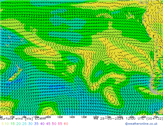 Surface wind ECMWF We 29.05.2024 12 UTC