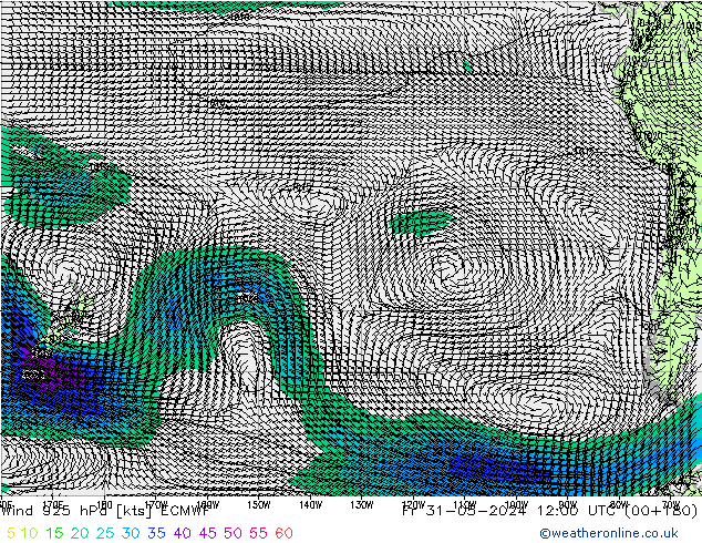  925 hPa ECMWF  31.05.2024 12 UTC