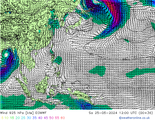 Vent 925 hPa ECMWF sam 25.05.2024 12 UTC