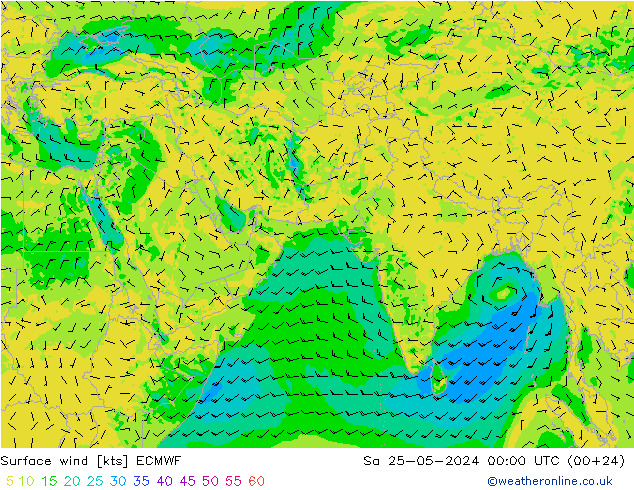 风 10 米 ECMWF 星期六 25.05.2024 00 UTC