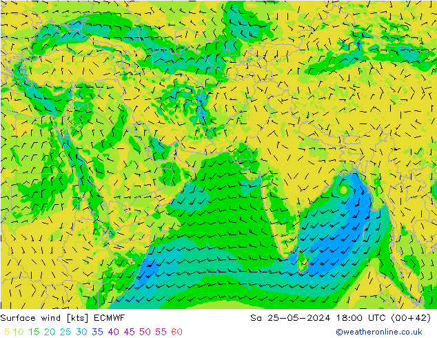 Vento 10 m ECMWF sab 25.05.2024 18 UTC