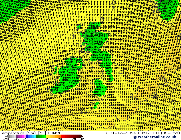 Temperaturkarte (2m) ECMWF Fr 31.05.2024 00 UTC