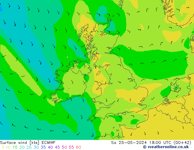 Vento 10 m ECMWF sab 25.05.2024 18 UTC