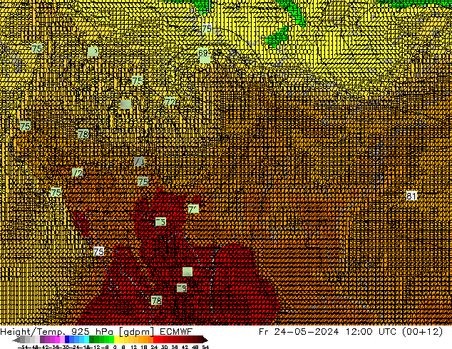 Geop./Temp. 925 hPa ECMWF vie 24.05.2024 12 UTC