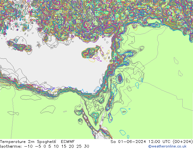 Temperature 2m Spaghetti ECMWF So 01.06.2024 12 UTC