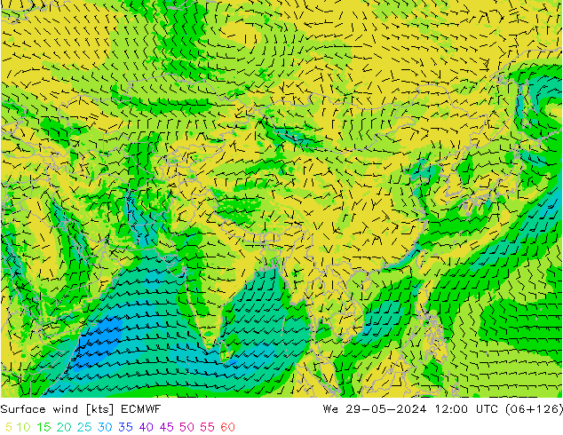 ветер 10 m ECMWF ср 29.05.2024 12 UTC