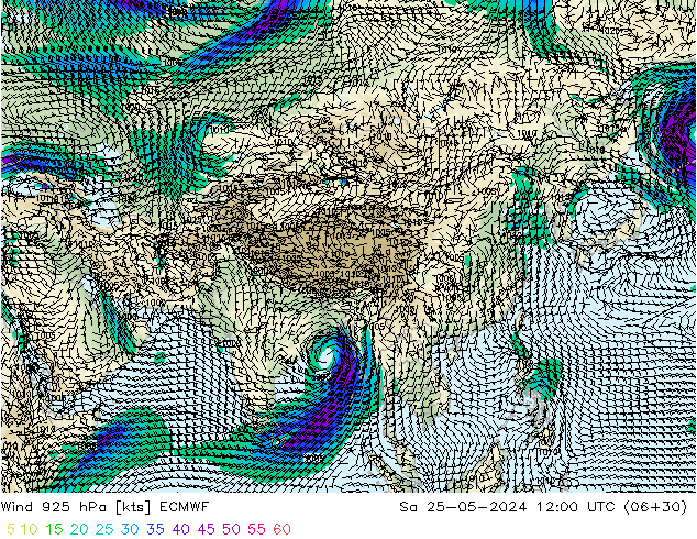 Vent 925 hPa ECMWF sam 25.05.2024 12 UTC